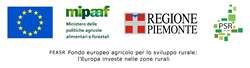 P.S.R. 2014-2020 Operazione 7.4.1. - Interventi di Riqualificazione dell'immobile denominato "CASA DAVERIO"